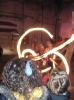 DSCN0772.jpg